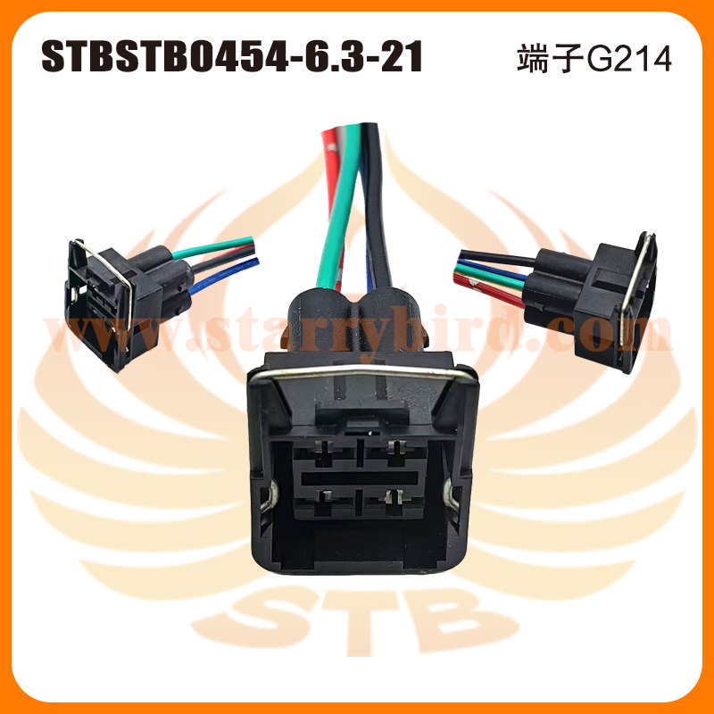 STB0454-6.3-21