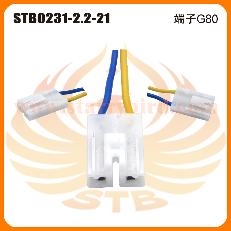 STB0231-2.2-21