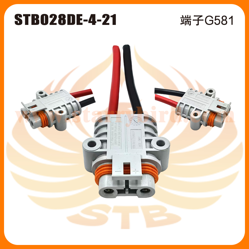 STB028DE-4-21