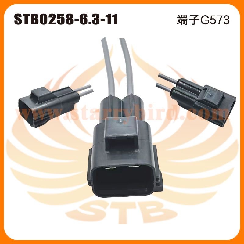 STB0258-6.3-11