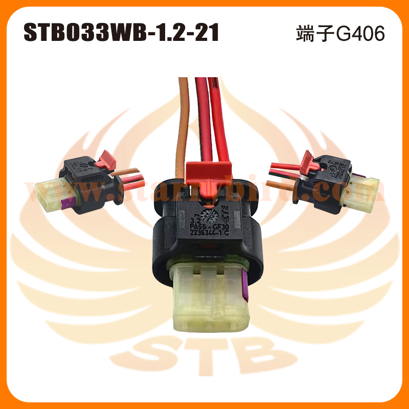 STB033WB-1.2-21