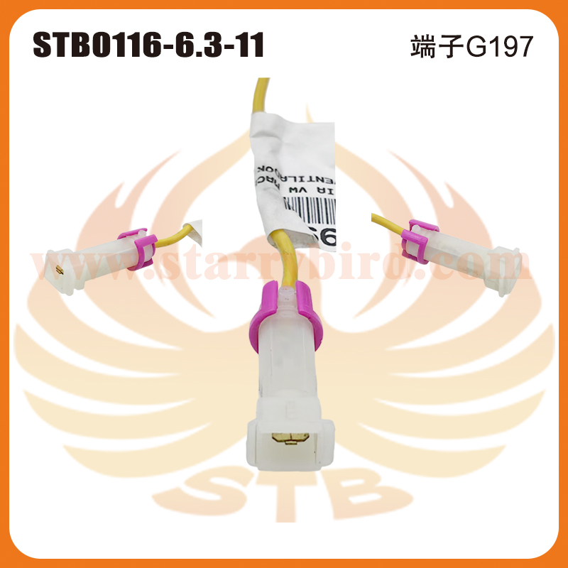 STB0116-6.3-11