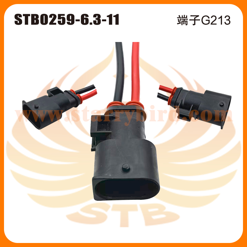 STB0259-6.3-11