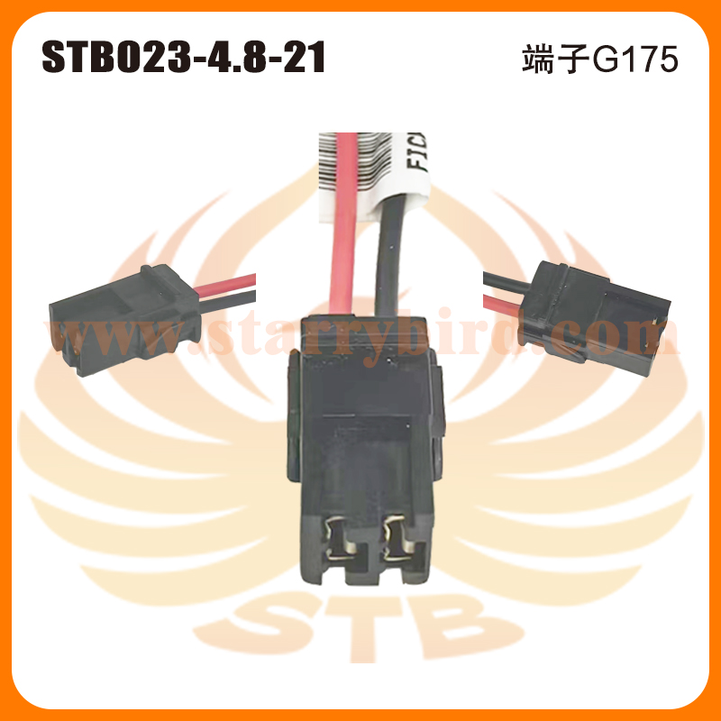 STB023-4.8-21