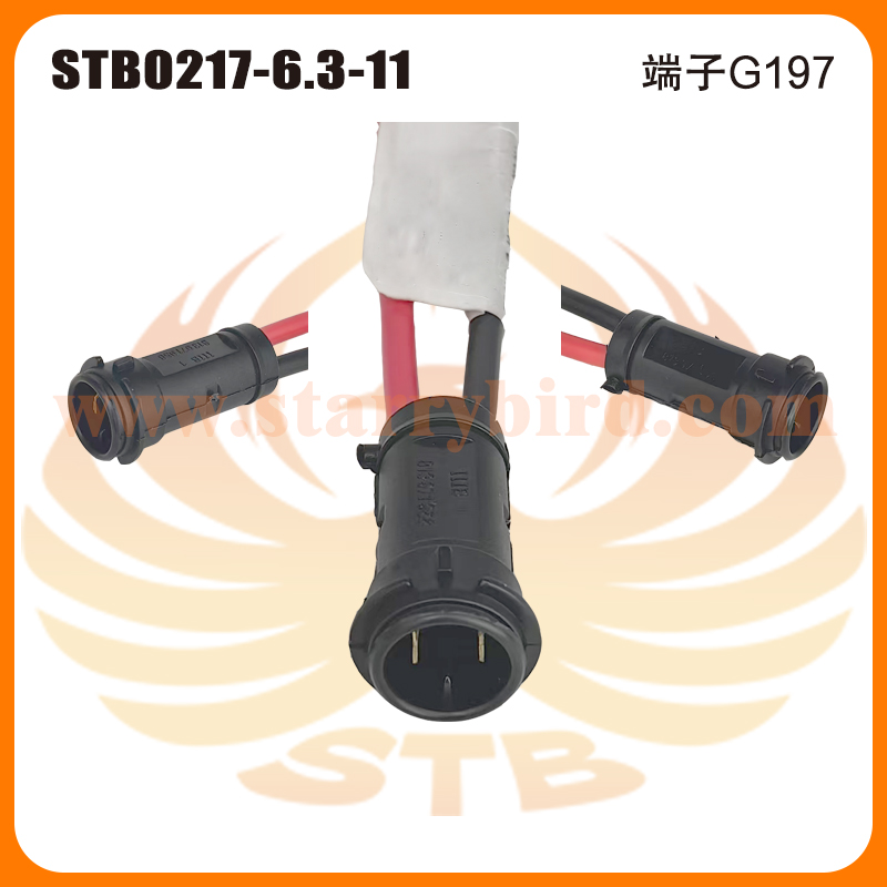STB0217-6.3-11