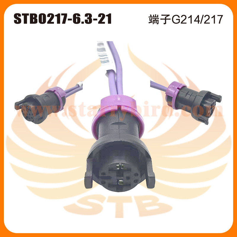 STB0217-6.3-21