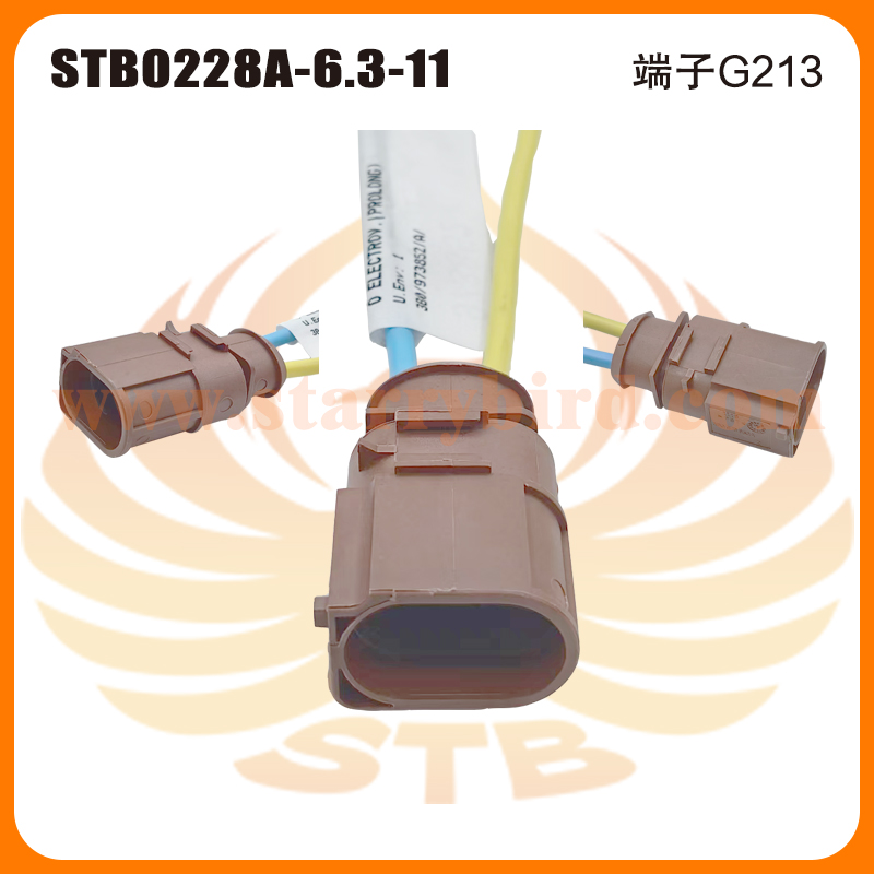 STB0228A-6.3-11