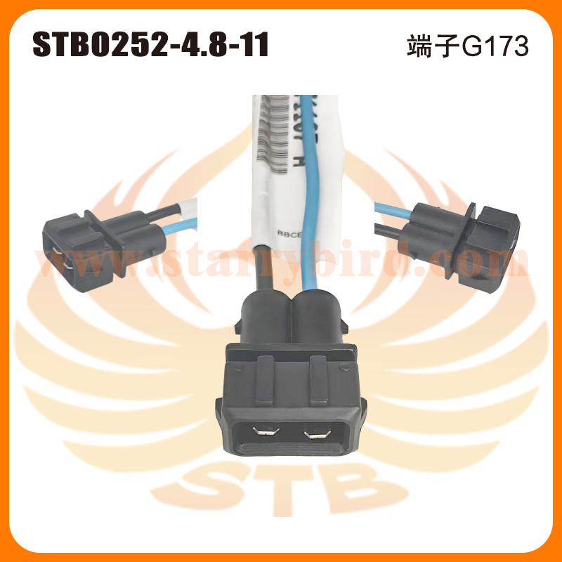 STB0252-4.8-11