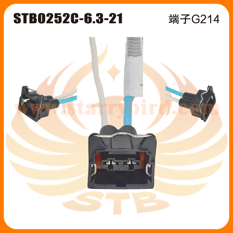 STB0252C-6.3-21