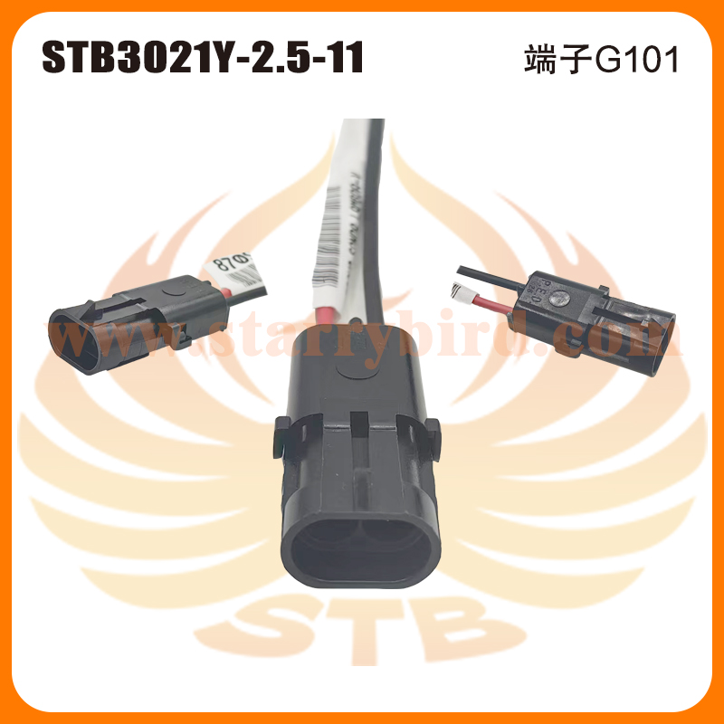 STB3021Y-2.5-11