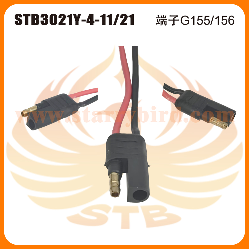 STB3021Y-4-11/21