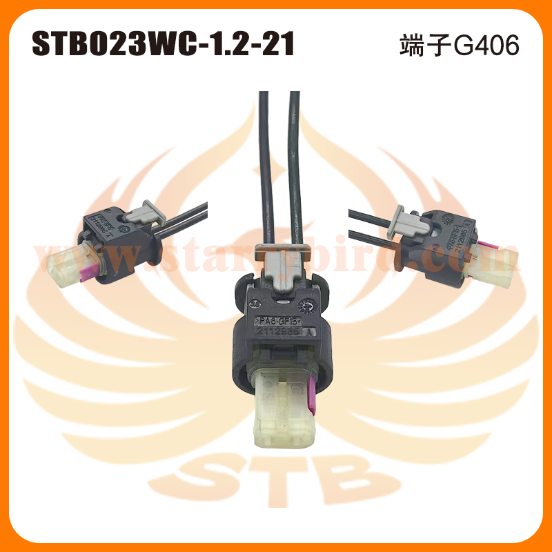 STB023WC-1.2-21