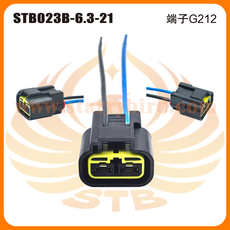 STB023B-6.3-21