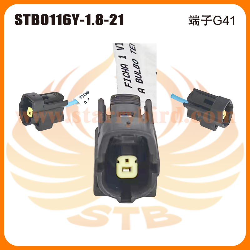 STB0116Y-1.8-21