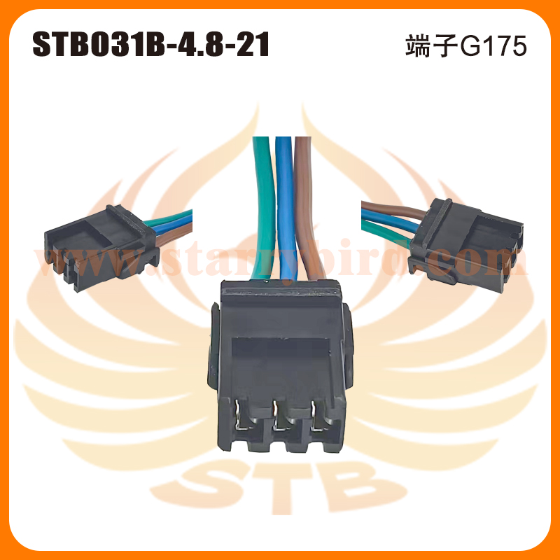 STB031B-4.8-21