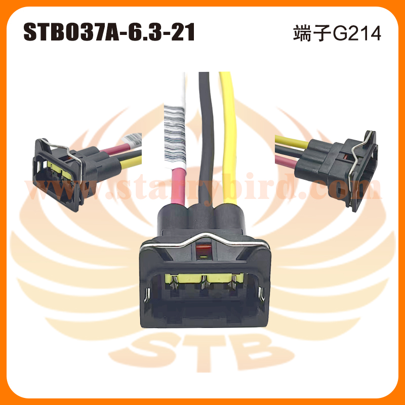 STB037A-6.3-21