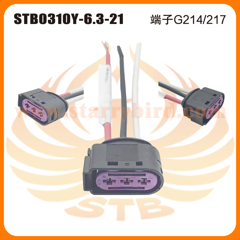 STB0310Y-6.3-21