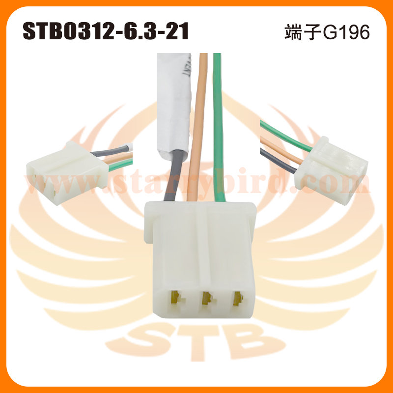 STB0312-6.3-21