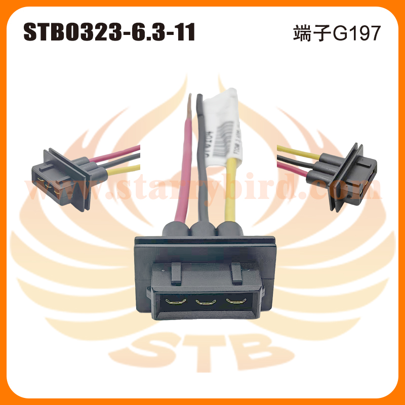 STB0323-6.3-11