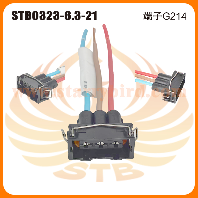 STB0323-6.3-21