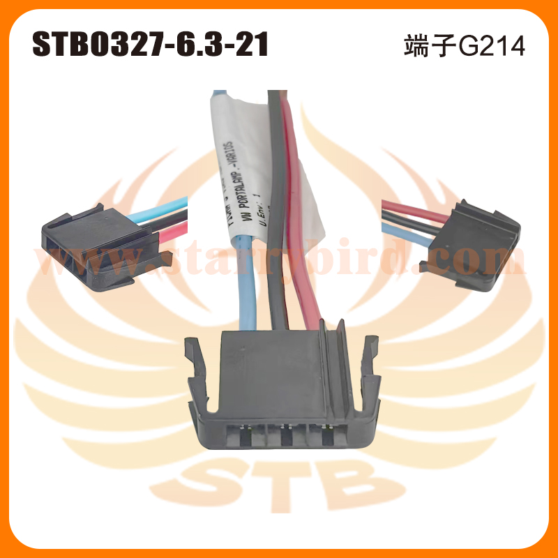 STB0327-6.3-21
