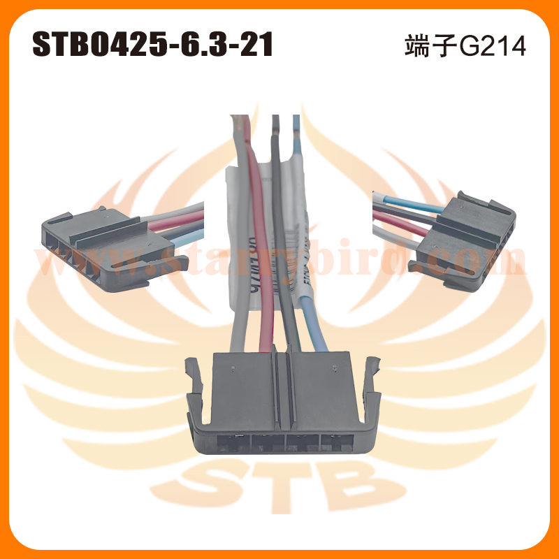 STB0425-6.3-21