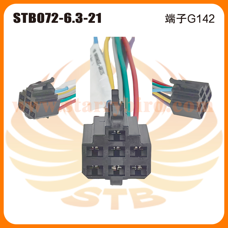 STB072-6.3-21