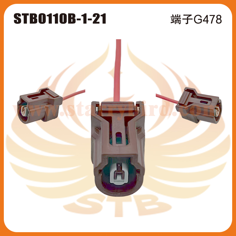 STB0110B-1-21