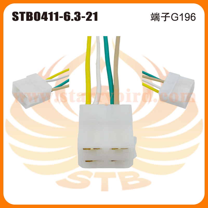 STB0411-6.3-21