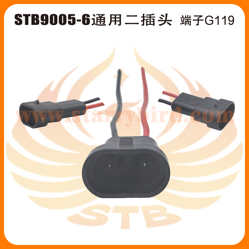 STB9005-6通用二插头