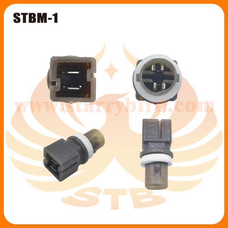 STBM-1