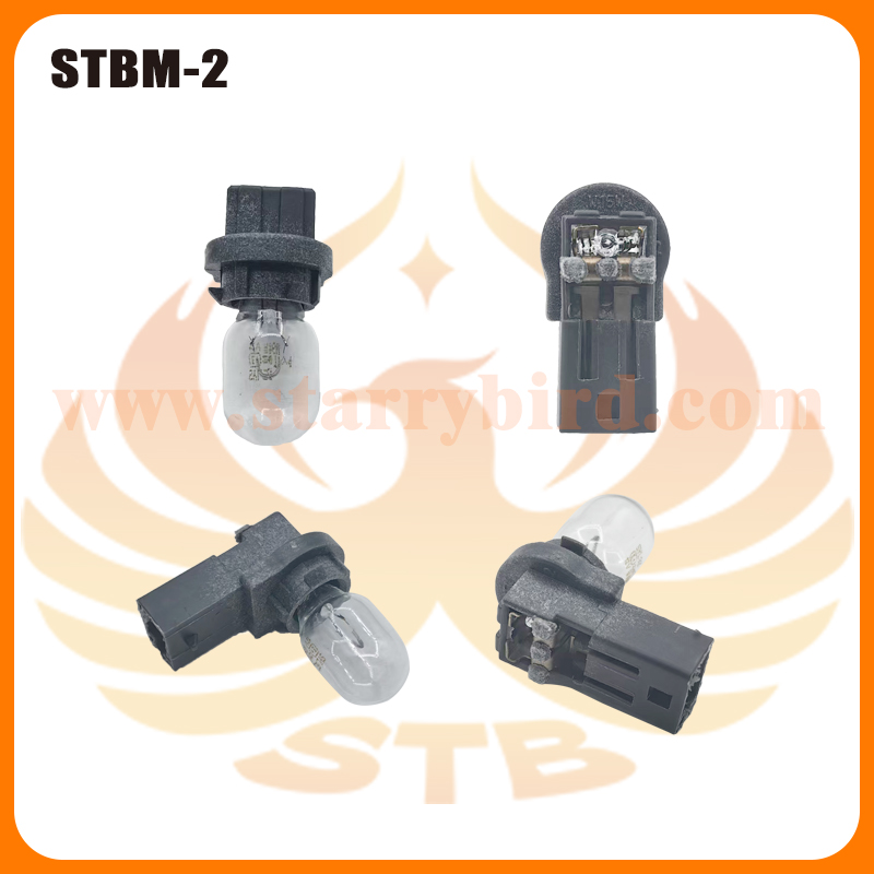 STBM-2