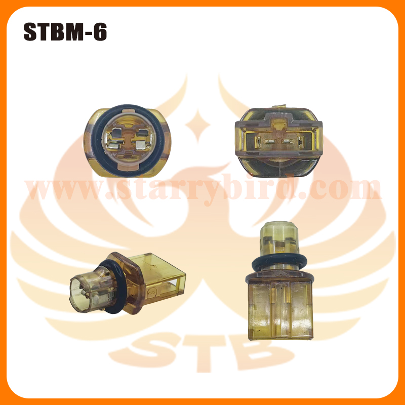 STBM-6
