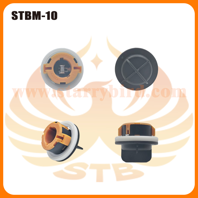 STBM-10