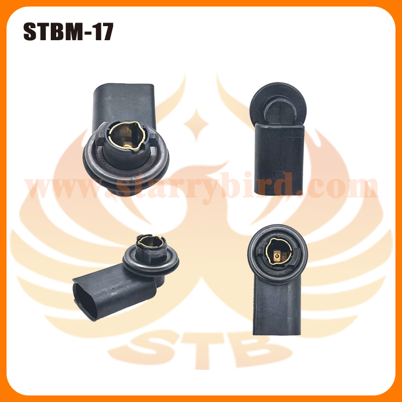 STBM-17