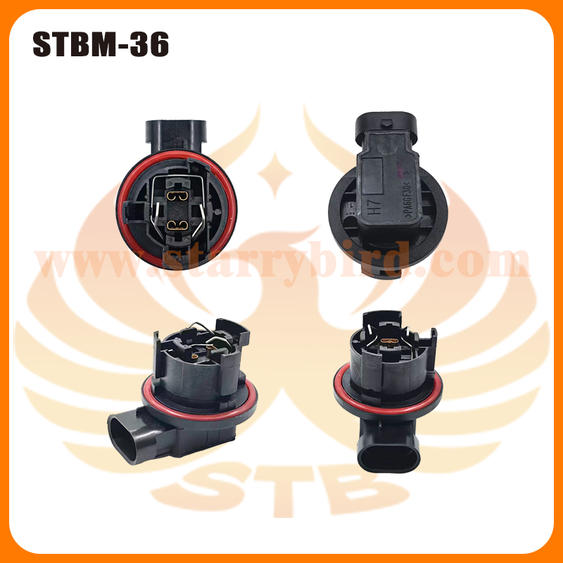 STBM-36