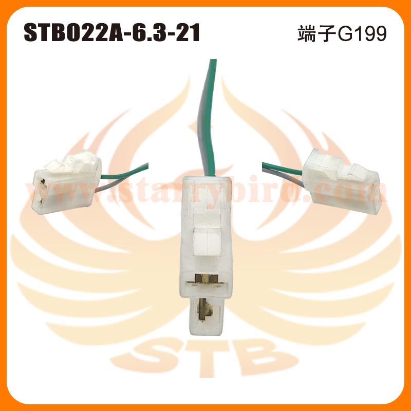 STB022A-6.3-21