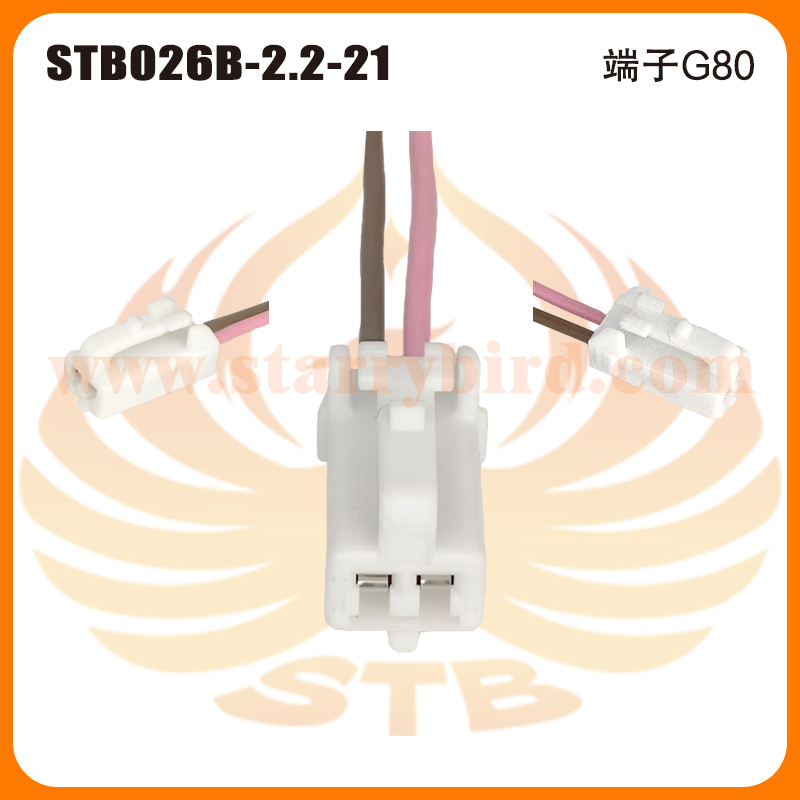 STB026B-2.2-21