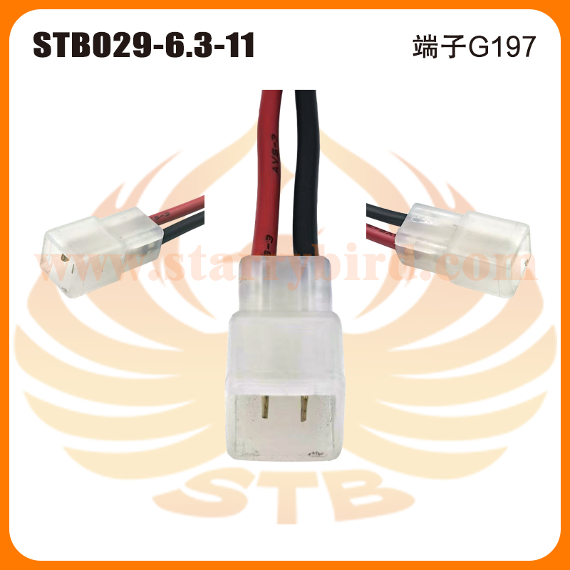 STB029-6.3-11
