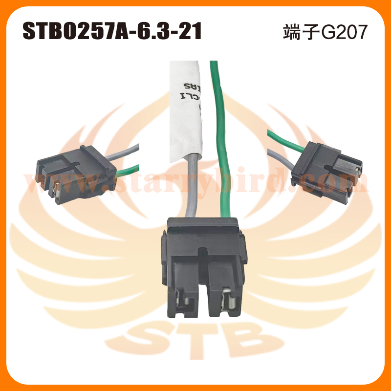 STB0257A-6.3-21