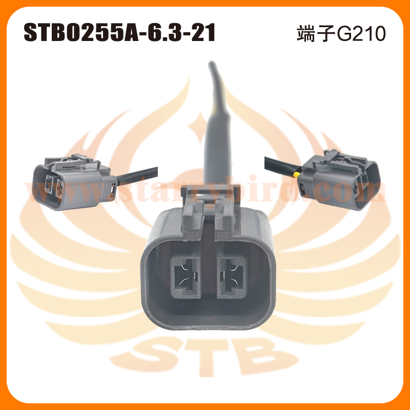 STB0255A-6.3-21