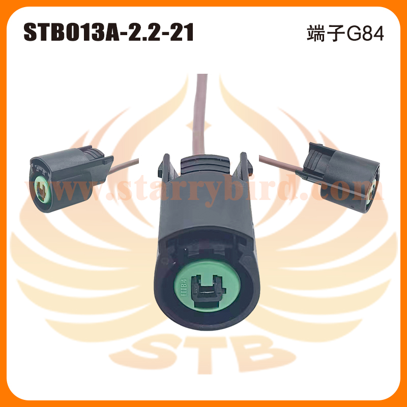 STB013A-2.2-21