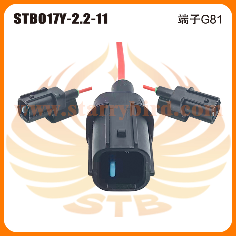 STB017Y-2.2-11