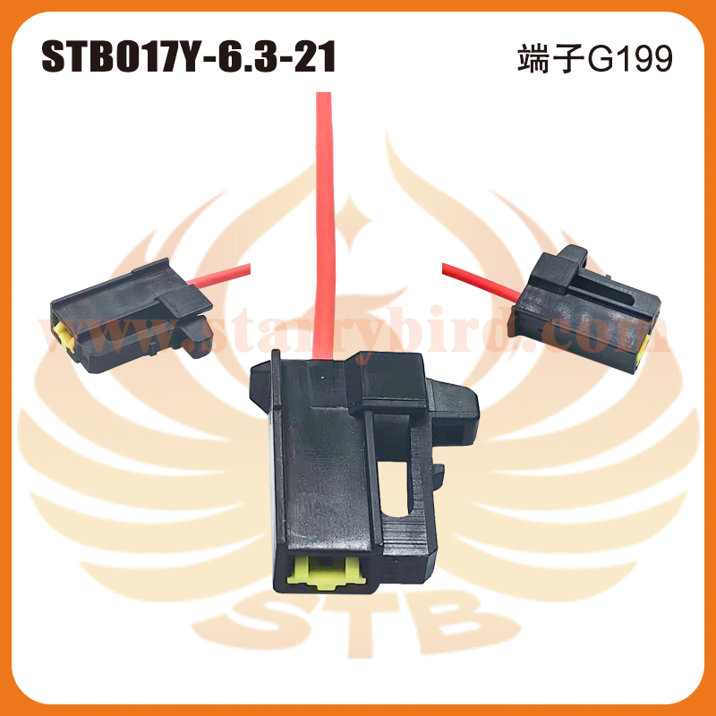 STB017Y-6.3-21