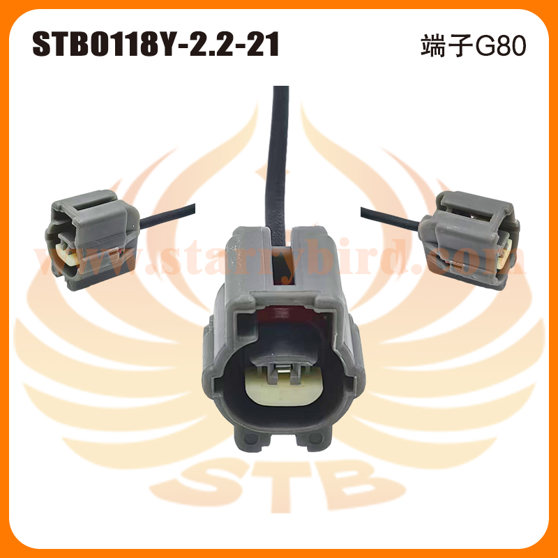 STB0118Y-2.2-21