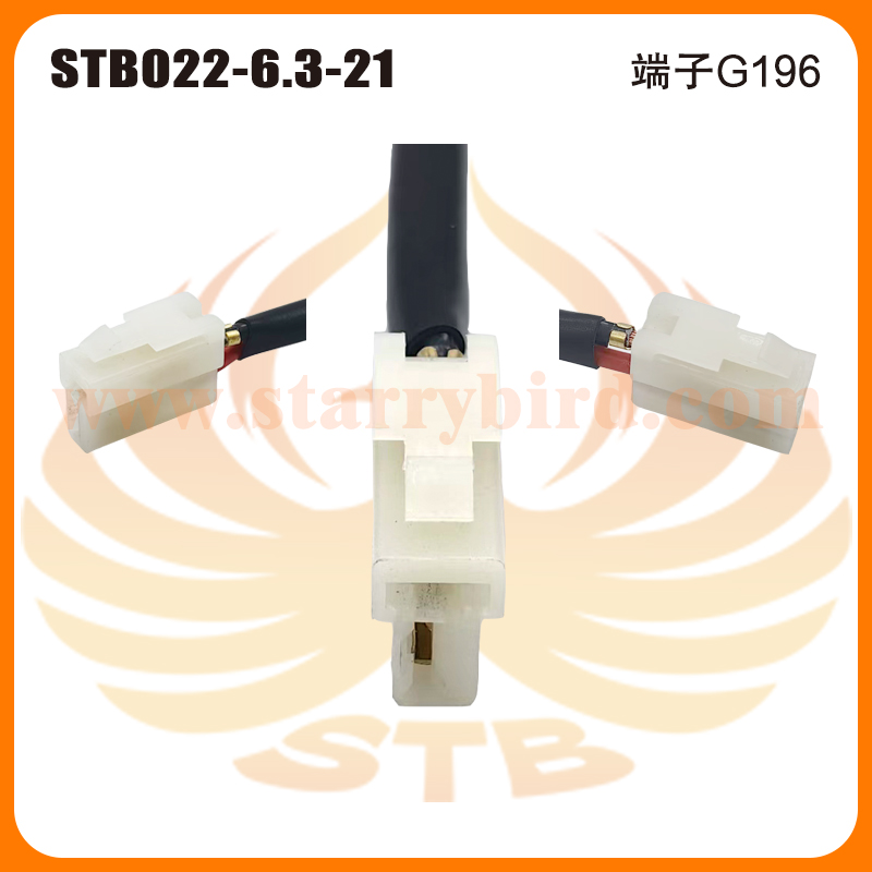 STB022-6.3-21