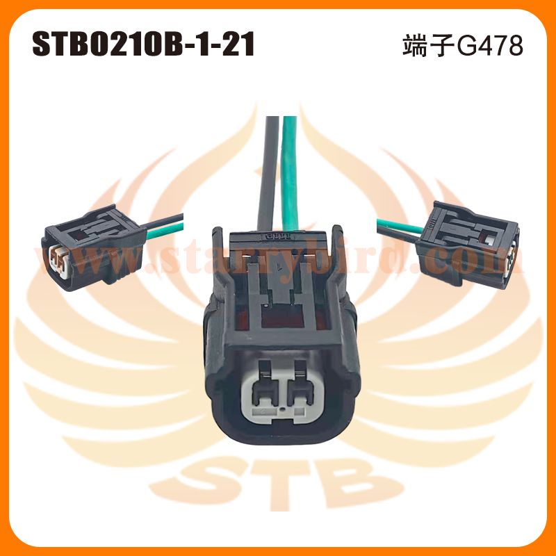 STB0210B-1-21