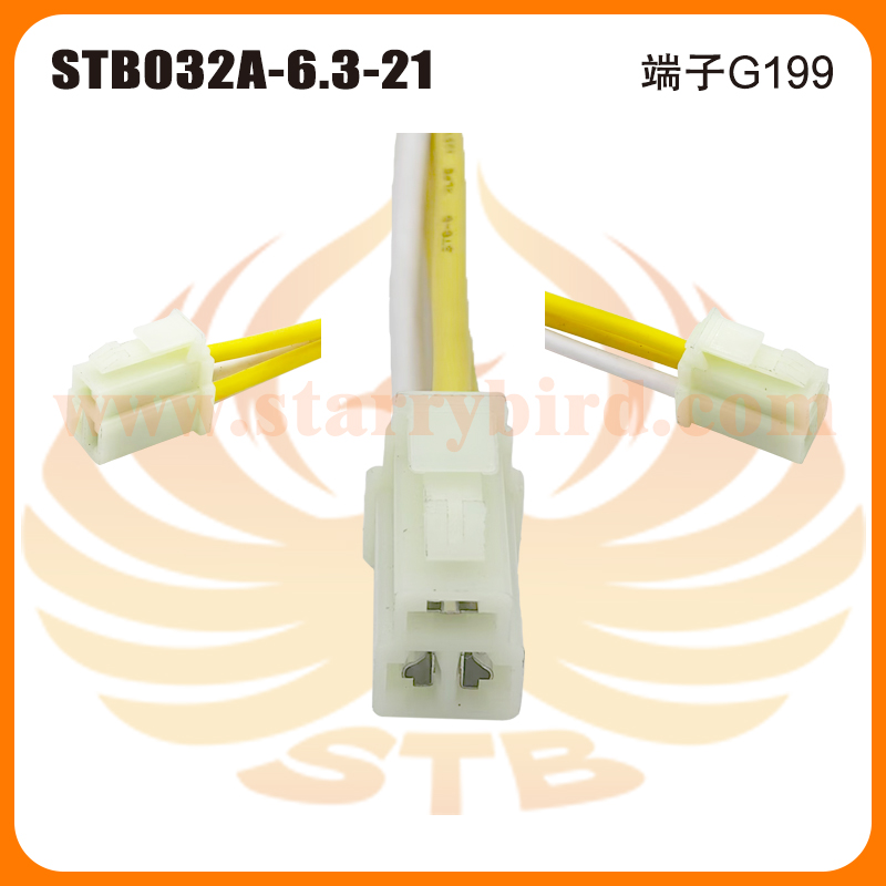 STB032A-6.3-21