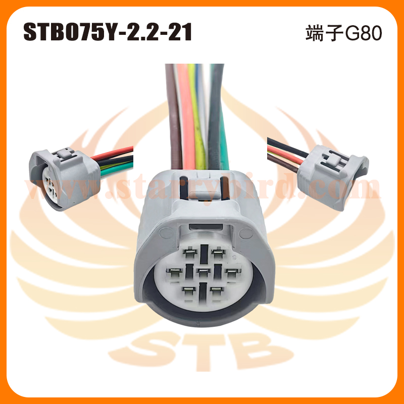 STB075Y-2.2-21