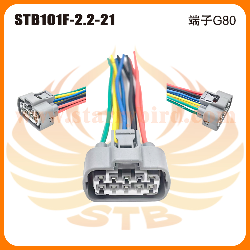 STB101F-2.2-21